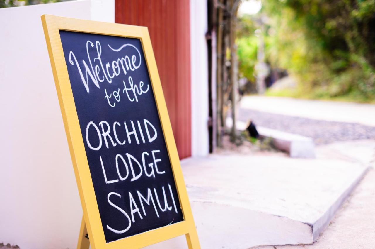 Orchid Lodge Samui - Bed & Breakfast Παραλία Λαμάι Εξωτερικό φωτογραφία