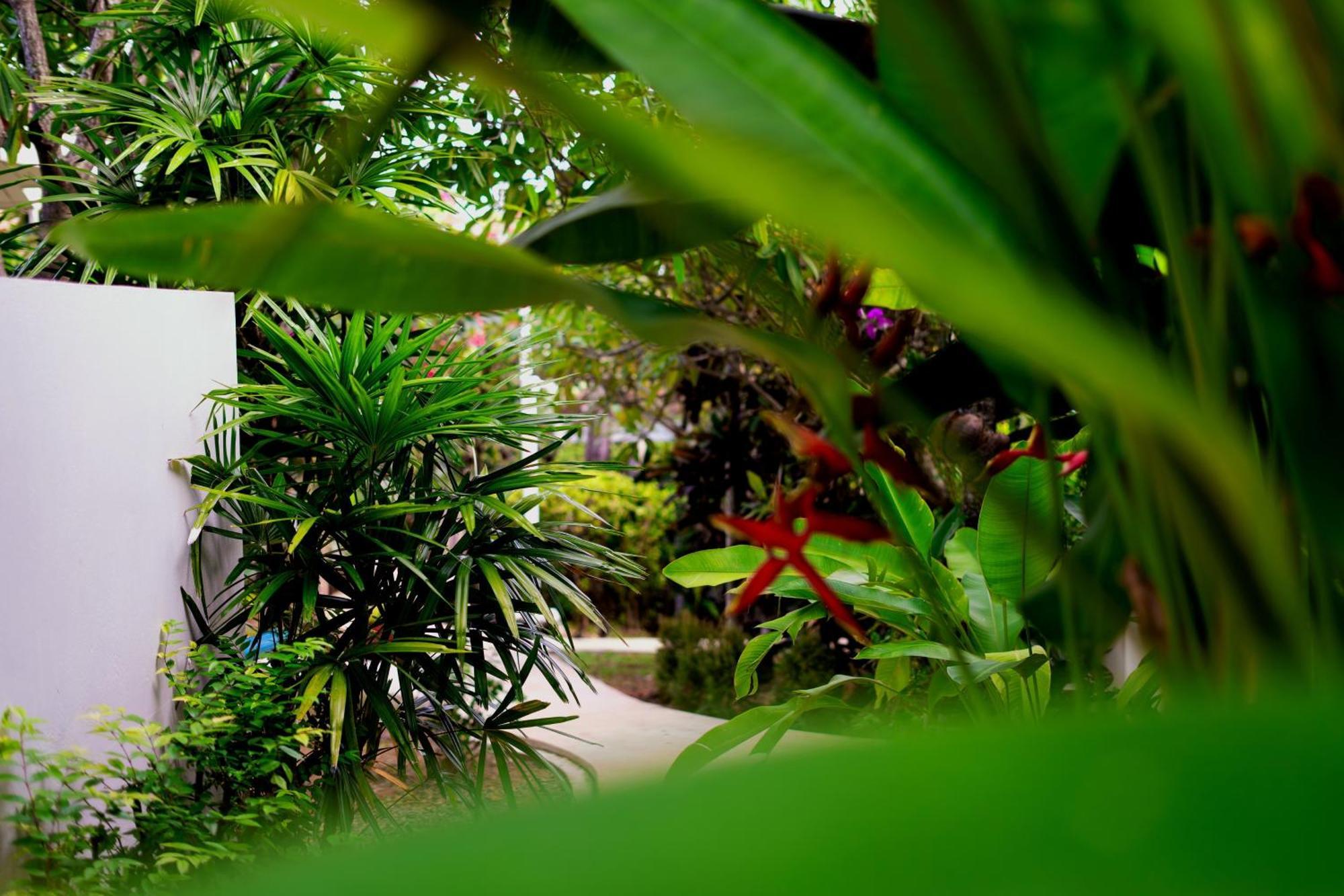 Orchid Lodge Samui - Bed & Breakfast Παραλία Λαμάι Εξωτερικό φωτογραφία