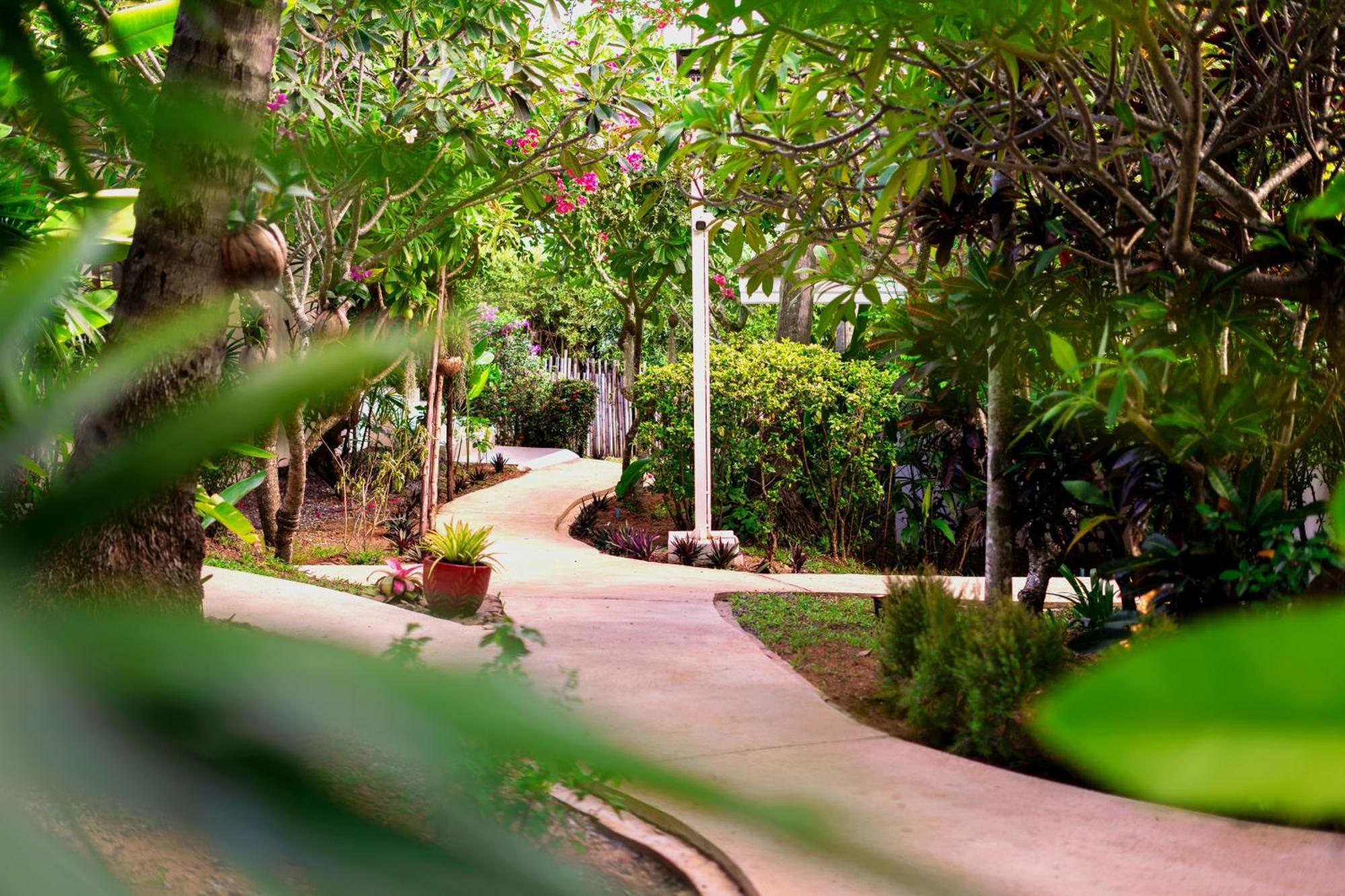 Orchid Lodge Samui - Bed & Breakfast Παραλία Λαμάι Εξωτερικό φωτογραφία