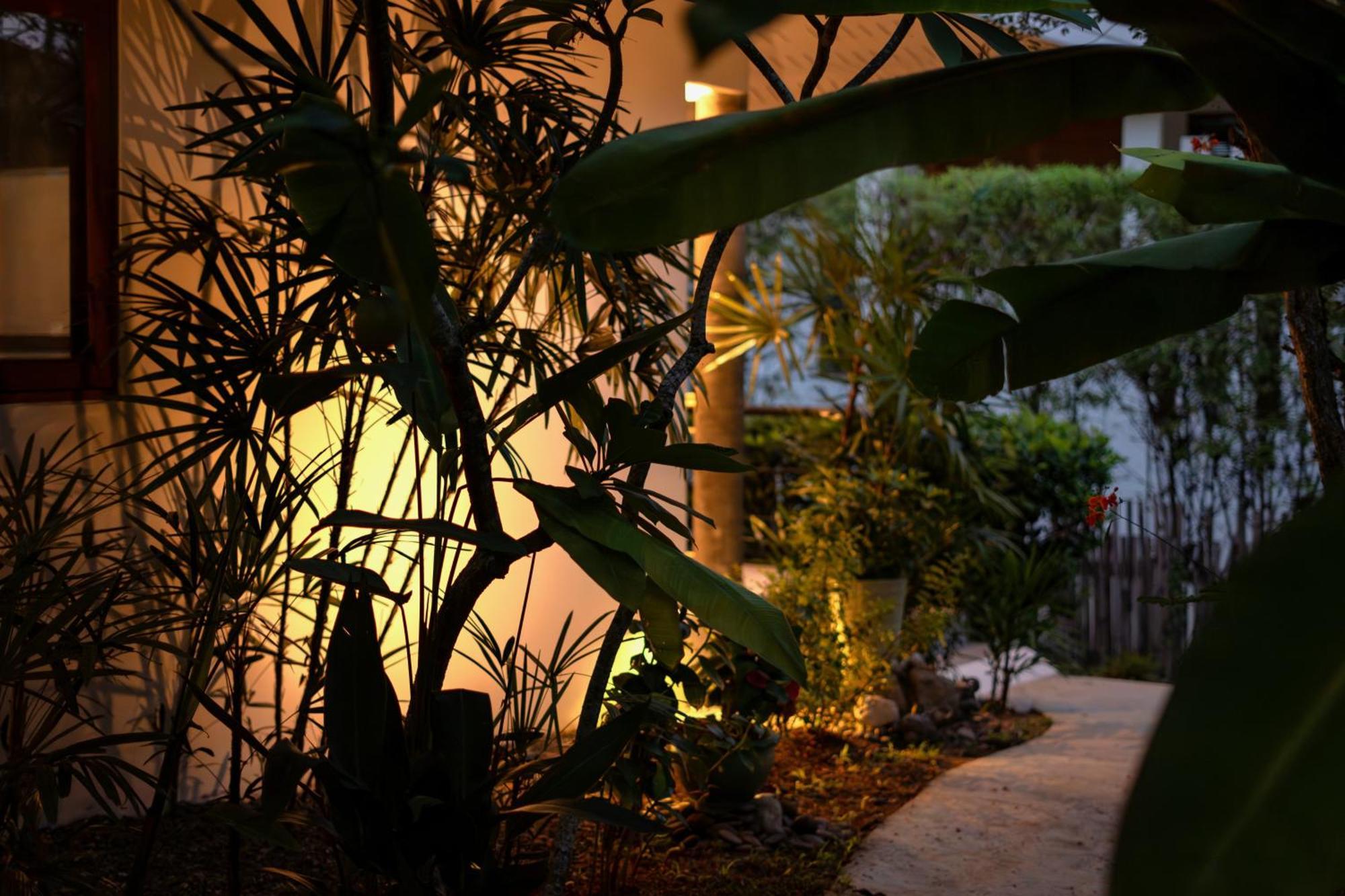 Orchid Lodge Samui - Bed & Breakfast Παραλία Λαμάι Δωμάτιο φωτογραφία